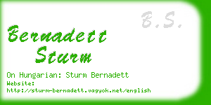 bernadett sturm business card